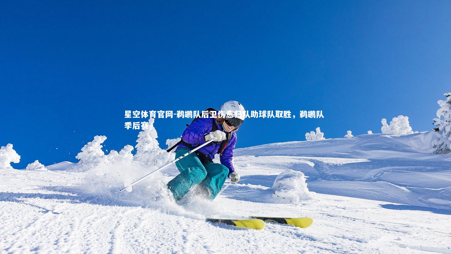 鹈鹕队后卫伤愈归队助球队取胜,鹈鹕队 季后赛