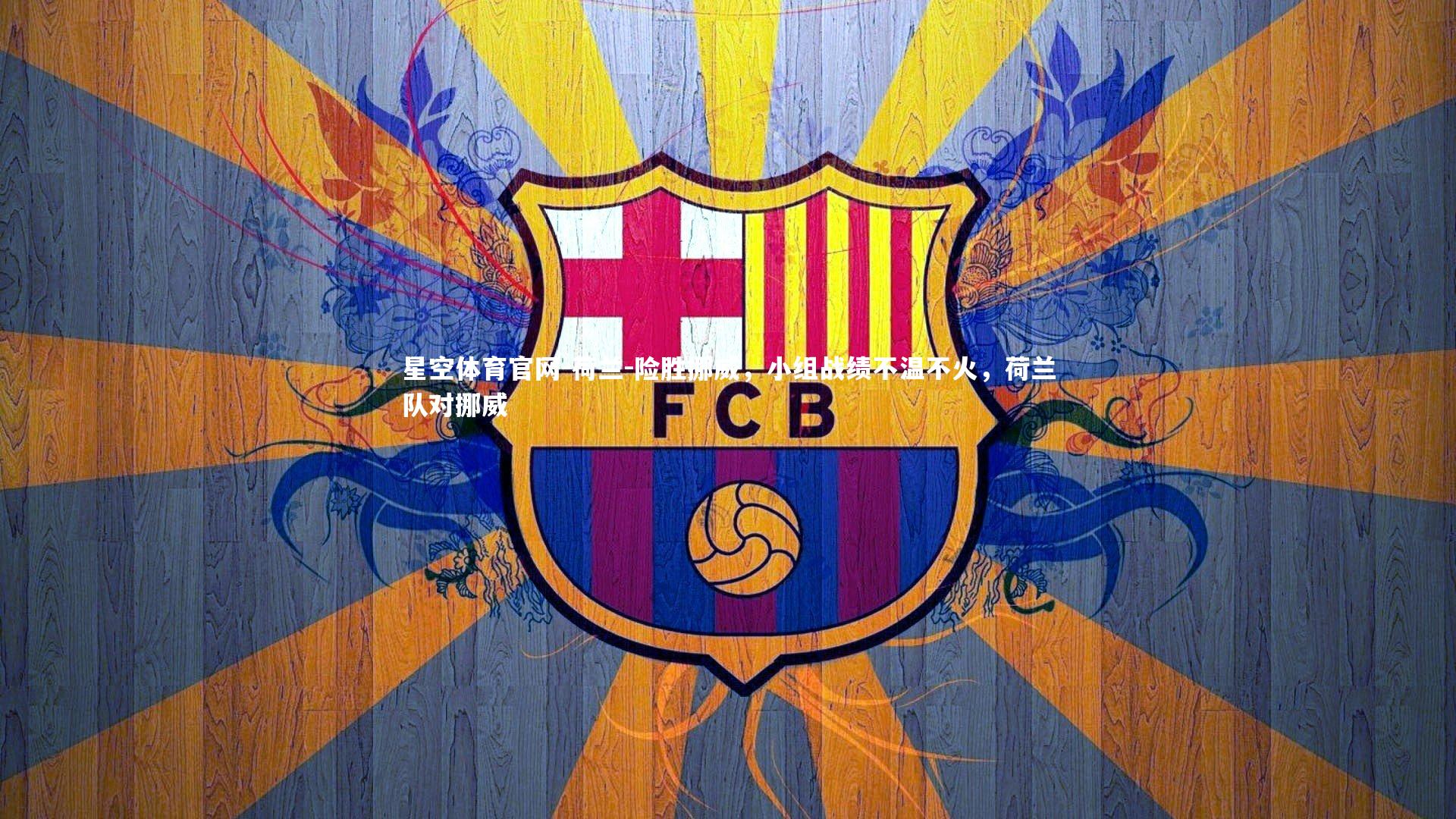 荷兰-险胜挪威,小组战绩不温不火,荷兰队对挪威